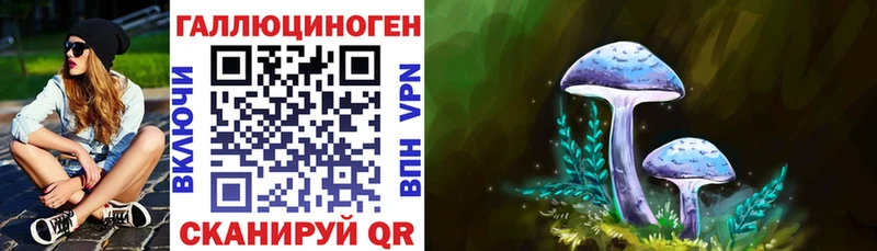 Псилоцибиновые грибы прущие грибы  hydra tor  Ясный 